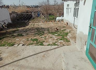 Satılır: həyət evi - Ümumi: Ev...