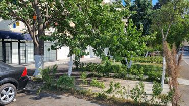 Digər kommersiya daşınmaz əmlakı: Şirniyyat, aptek, Karqo ofis və.s profillər üzrə yararlı. Razinde 1-ci — 10