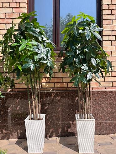 Декоративные цветы: 🌿✨ Mayram Decor.kg – искусственные деревья и цветы в Бишкеке ✨🌿 — 3