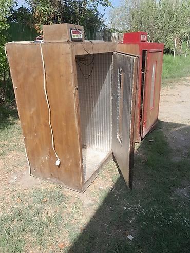 sederek inkubator satisi: Bütün növ quşlar üçün — 1