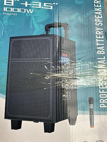 se electronics: Портативная аккумуляторная акустическая система SSRJ SS-3101 Основные — 7