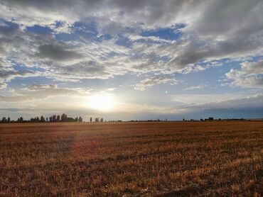 продаю землю сельхоз: Куплю землю для ведения сельского хозяйства около села Михайловка