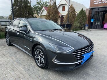 гибрид машина купить: Hyundai Sonata: 2019 г., 2 л, Автомат, Гибрид, Седан
