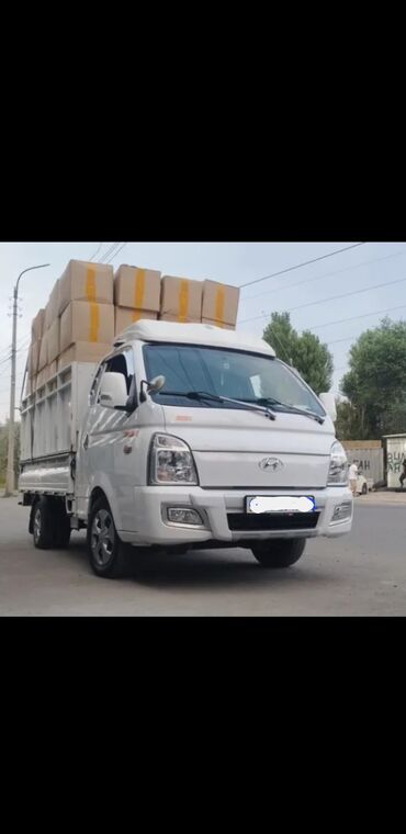чёрная кошка: Porter taksi porter taxi портер такси грузовые перевозки переезд вывоз