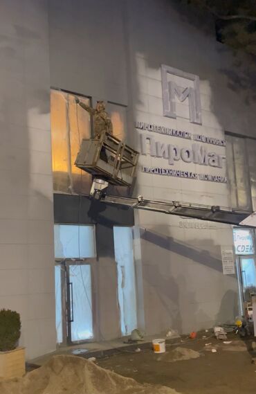 Покраска: Декоративная покраска, Покраска ворот, Покраска дверей, На водной основе, На масляной основе, Больше 6 лет опыта — 54