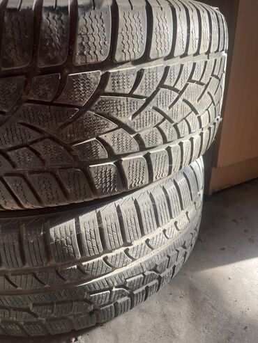 Шины: Шины 255 / 55 / R 18, Всесезонная, 1 шт, Легковые, Германия, Dunlop