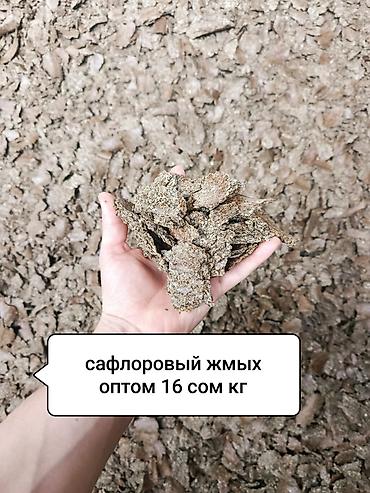 отход морковь: Сафлоровый жмых По хорошей цене Оптом 15 сом кг Самовывоз .Зафасуем — 1