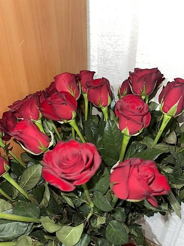 вечные розы: Букет из красных роз

Узундугу 70 м
Кызыл розалар
Тойдон жаны чыкты — 1