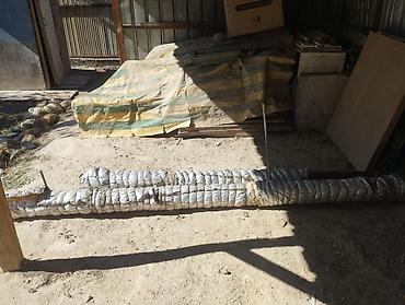 Оңдоп-түзөө жана курулуш: Газ казаны Колдонулган, Бренд: Очаг, Үй үчүн — 6