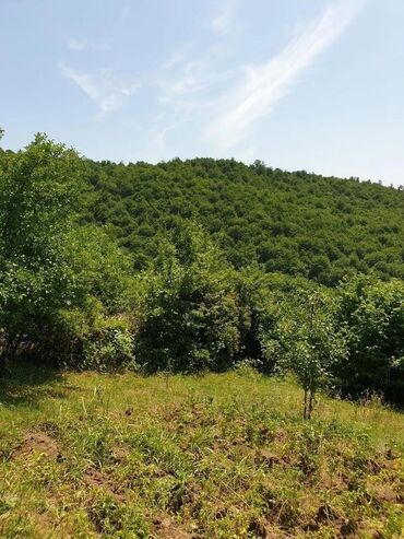 Həyət evləri və villaların satışı: 4 otaqlı, 200 kv. m, Yeni təmirli -da lalafo.az — 3 Həyət evləri və villaların satışı: 4 otaqlı, 200 kv. m, Yeni təmirli — 3