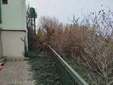 Torpaq sahələrinin satışı: 10 sot, Makler, Kupça (Çıxarış) — 11