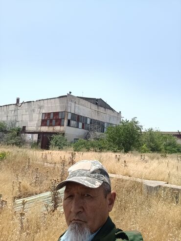 купить трактор мтз в рассрочку: Ячмень4га скоситьнужна комбайн,с. Новопокровка по Кирова вниз в
