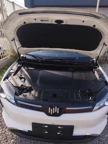 Weltmeister: Weltmeister W6, 2022 г., 53500 км, Передний, В наличии — 2