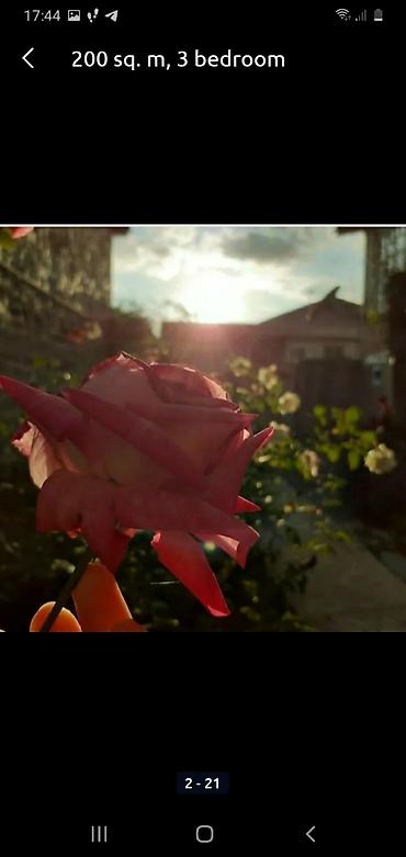 Günlük kirayə evlər: 200 kv. m, 3 otaqlı, Qaz, İşıq, Su — 14