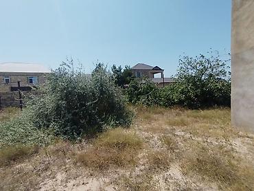 Torpaq: 20 sot, Tikinti, Mülkiyyətçi, Kupça (Çıxarış) — 10