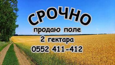 парикмахерский помошник: 200 соток, Для сельского хозяйства, Договор купли-продажи