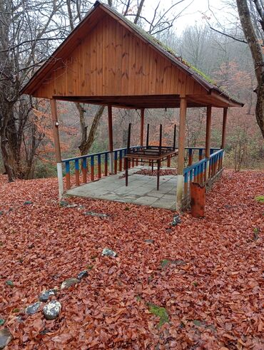 Restoran, kafelər: Masalli İsti su yaxin. 3 hektar ərazi 7 katej 6 bisetka. Tam islek -da lalafo.az — 24 Restoran, kafelər: Masalli İsti su yaxin. 3 hektar ərazi 7 katej 6 bisetka. Tam islek — 24