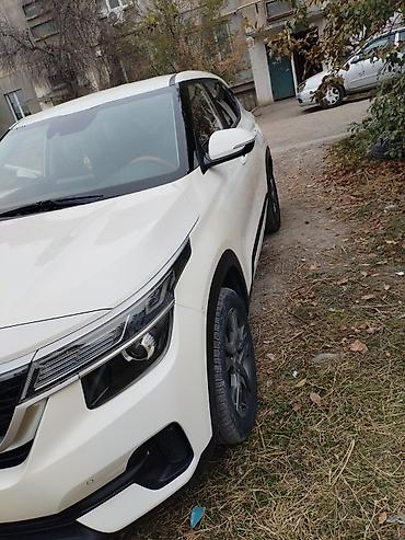 кия seltos: Kia Seltos: 2021 г., 1.6 л, Робот, Внедорожник — 3