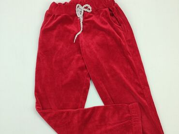 spodnie dresowe pitbull: Sweatpants, 13 years, 152/158, condition - Very good