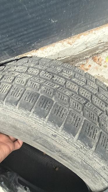 Шины 225 / 60 / R 16, Зима, Б/у, 1 шт, Легковые, Dunlop at lalafo.kg Шины 225 / 60 / R 16, Зима, Б/у, 1 шт, Легковые, Dunlop