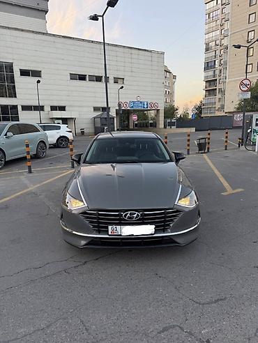 sonata orange: Hyundai Sonata: 2019 г., 2 л, Автомат, Газ, Седан — 6