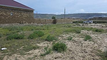 yeni əmlak az: 4 sot, Tikinti, Mülkiyyətçi, Kupça (Çıxarış) — 4