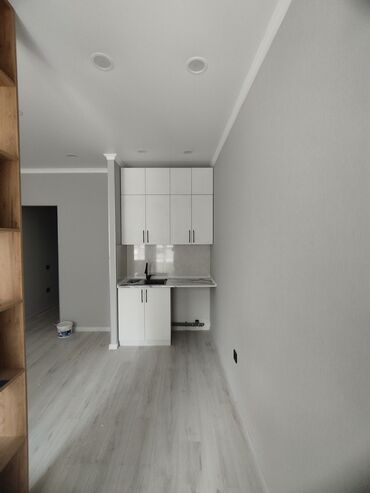 Продажа квартир: 1 комната, 26 м², Элитка, 5 этаж, Евроремонт