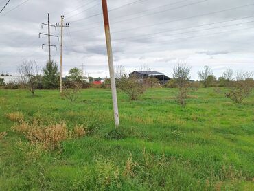 Torpaq sahələrinin satışı: 130 sot, Tikinti, Kupça (Çıxarış) — 16
