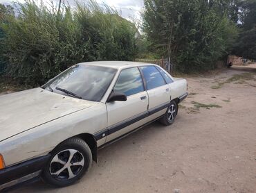 талас ауди: Audi 100: 1988 г., 1.8 л, Механика, Бензин, Седан