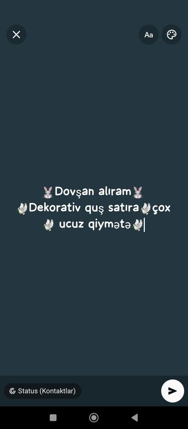 dovsan: Mətnə əsasən xidmət və məhsul təklifi: - Dovşan alınır - Dekorativ