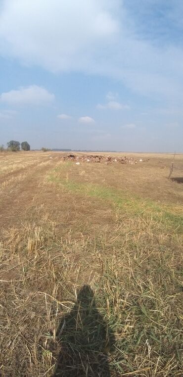 нужна работа на дому: Койчу керек Ысык Ата району. 20000