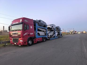 daf 95 480: Тягач, DAF, 2000 г., Сar carrier trailer — 2