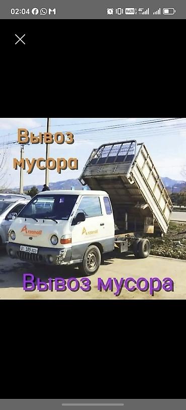 Үй жаныбарлары: Вывоз мусор вывоз мусор вывоз мусор вывоз мусор вывоз мусор вывоз — 1