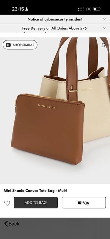 Мини-сумка-тоут Charles & Keith Shania Canvas Tote Bag (Multi) 🇺🇸✅