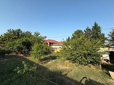 sulut: Müqavilə — 1