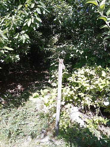 Продажа коттеджей и домов: Продаю дом,5 комнат,+ кухня+ванная комната с туалетом в доме, 2 — 12