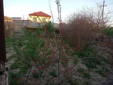 Bağ evlərinin satışı: Digah, 2300 kv. m, 3 otaqlı, Hovuzsuz, Artezian quyusu, İnternet, İşıq — 8