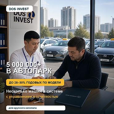 Готовый бизнес: Инвестиция в бизнес Вместе с: Программное обеспечение и IT-инфраструктура — 1