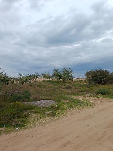 topaq: 17 sot, Tikinti, Mülkiyyətçi, Kupça (Çıxarış) — 3