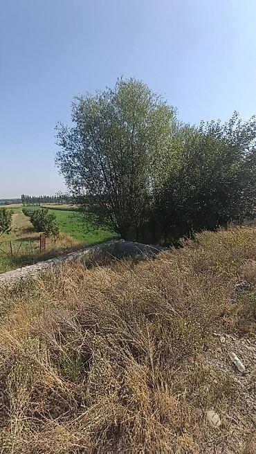 бункер цена: 30 соток, Для бизнеса, Договор дарения — 3