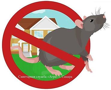 Дезинфекция, дезинсекция: ОсОО "ДЕЗМАСТЕР" . Производим качественную обработку холодным туманом — 3