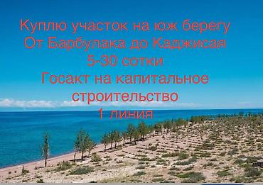 шота руставелли: 5 соток — 1