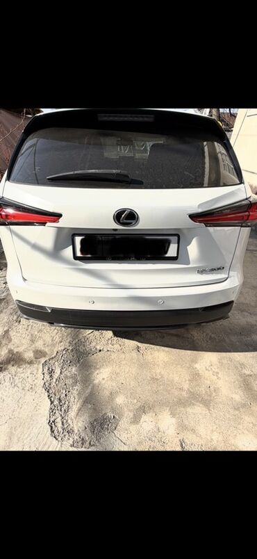 Lexus: Lexus NX: 2019 г., 2 л, Автомат, Бензин, Кроссовер — 4