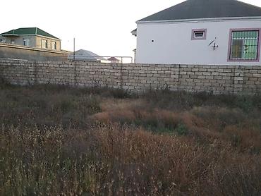 naxçıvan: 4 sot, Kənd təsərrüfatı, Mülkiyyətçi, Kupça (Çıxarış) — 2