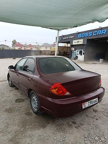 Продажа авто: Kia Spectra: 2008 г., 1.6 л, Механика, Газ, Седан — 4
