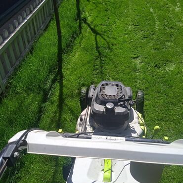 Bağbanlar: Bağ işləri ağac və kolların budanması,şəkilləndirməsi dərmanlara qazon -da lalafo.az — 21 Bağbanlar: Bağ işləri ağac və kolların budanması,şəkilləndirməsi dərmanlara qazon — 21