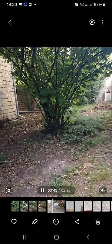 Bağ evlərinin kirayəsi: 60 kv. m, 4 otaqlı, Hovuzsuz, Qaz, Kombi, İnternet — 9