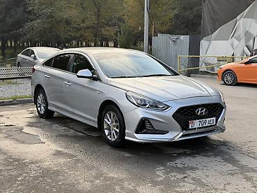 sea lion byd: Hyundai Sonata: 2017 г., 2 л, Автомат, Газ, Седан — 2