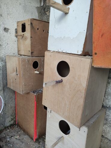 Qəfəslər: Qefesler yumru qirmizi 30 Azn obirler 20-15 Azn — 8