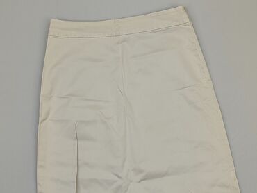 Skirts: Skirt, Banana Republic, S (EU 36), condition - Very good